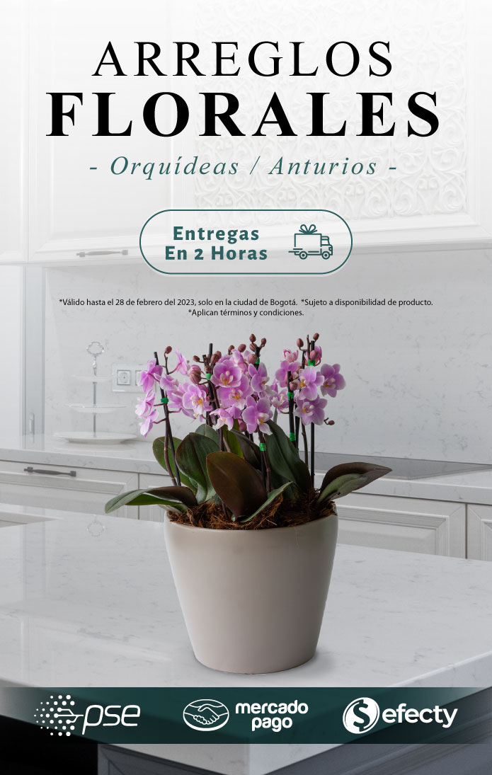 Piante- Venta a todo Colombia de Orquideas y Plantas vivas